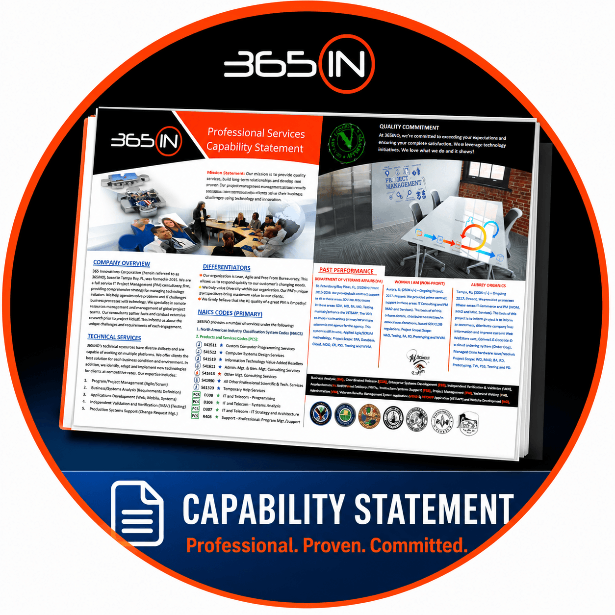 Preview of the 365INO capability statement